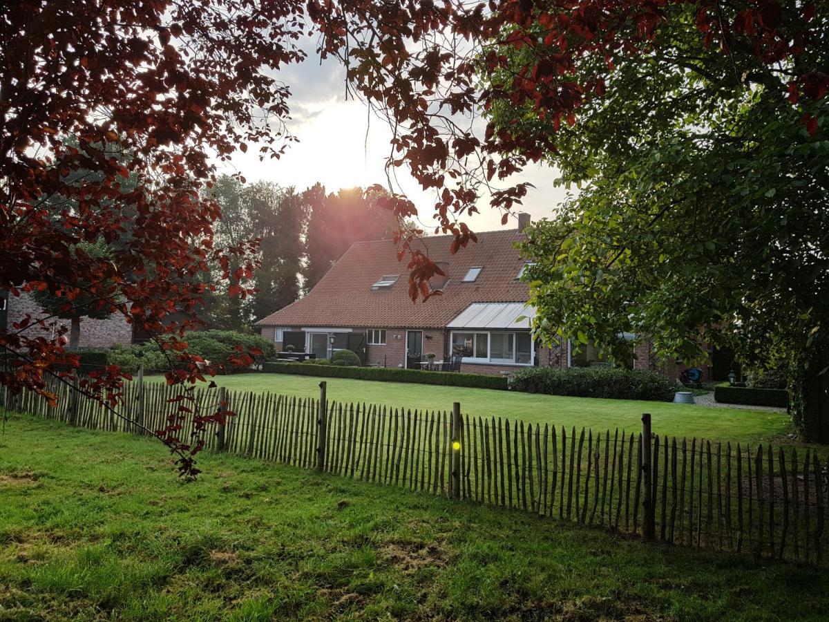 B&B Bergenhof Hoogstraten Kültér fotó