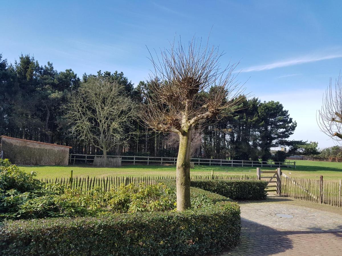 B&B Bergenhof Hoogstraten Kültér fotó